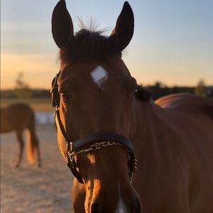 Meet your Posher, Kate